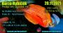 Burza rybiček - prodejní trhy akvarijních ryb
